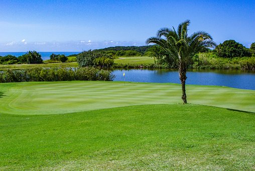 See, Golf, Golfplatz, Golfen, Gras