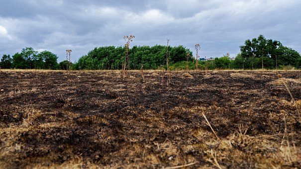 Brennen, Verbrannt, Gras, Feuer, Wärme