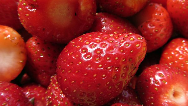 Free Strawberry Fruit photo and picture