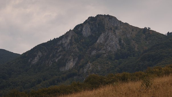 Montanha, Floresta, Campo, Panorama