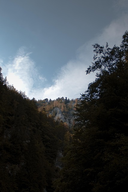 Klif, Berg, Bomen, Natuur, Lucht, Wolken
