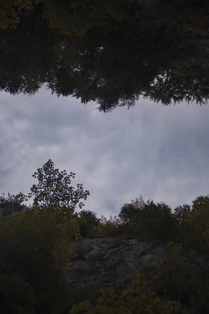 Penhasco, Nuvens De Tempestade, Floresta