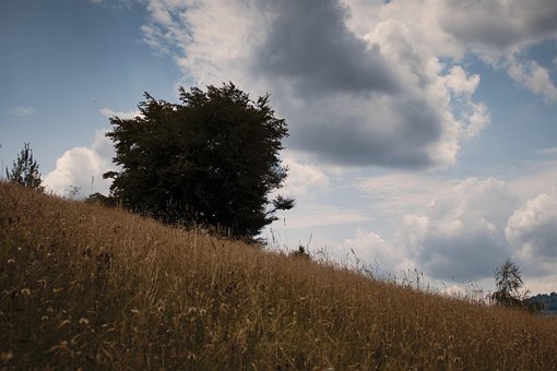 Prado, Hill, Natureza, Relva, Céu