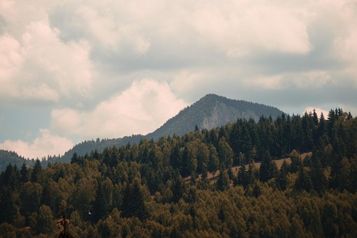 Montanha, Arvores, Dia Nublado, Nublado