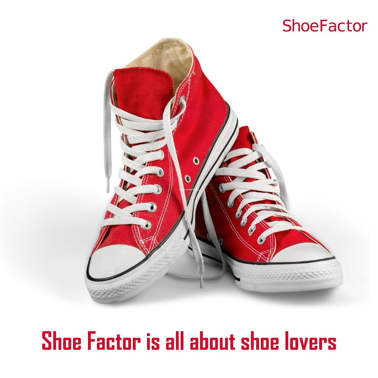 Shoes Footwear Fashion Free photo on Pixabay Pixabay