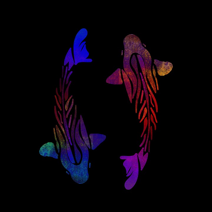 Fish Drawing Design Download Fish, Drawing, Design. Royalty-Free Stock Illustration Image ...