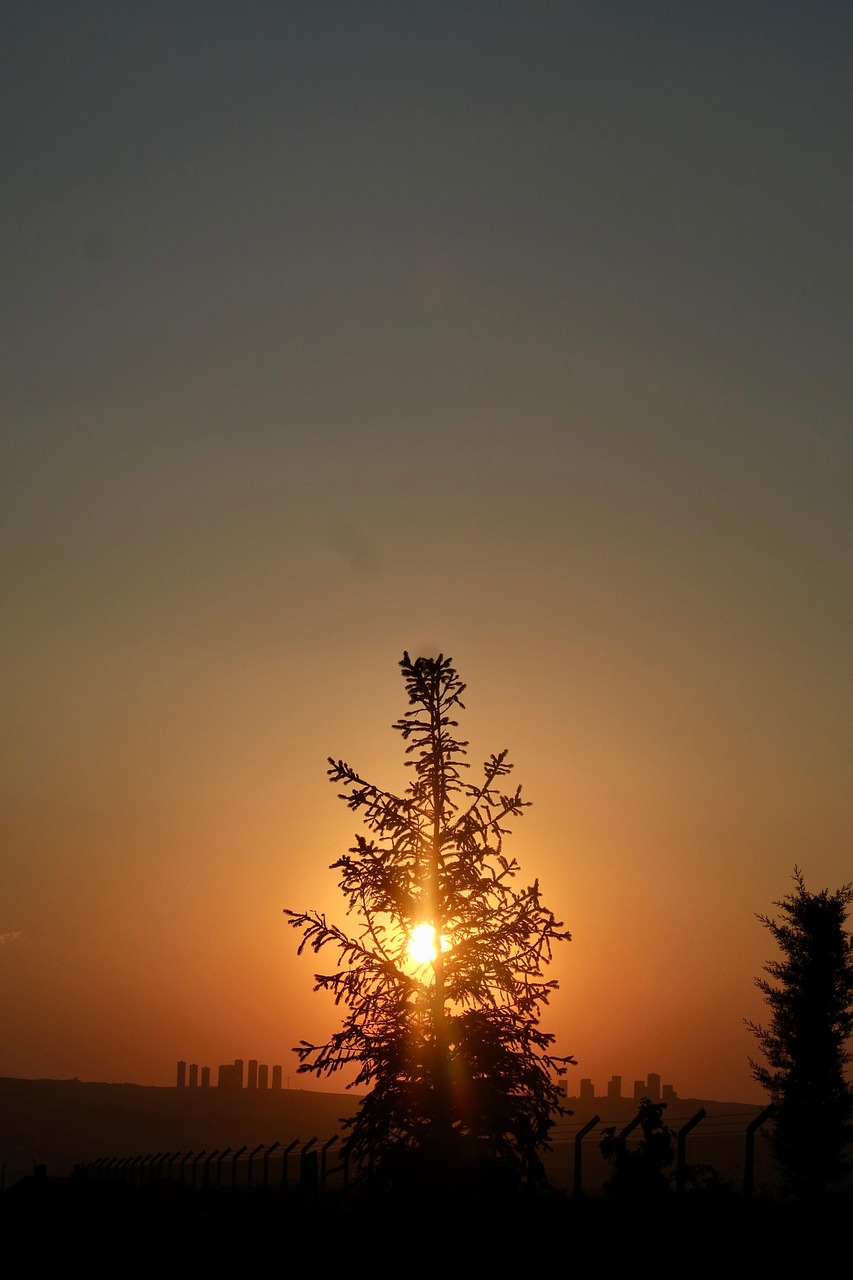 The Evening Sun - Free photo on Pixabay