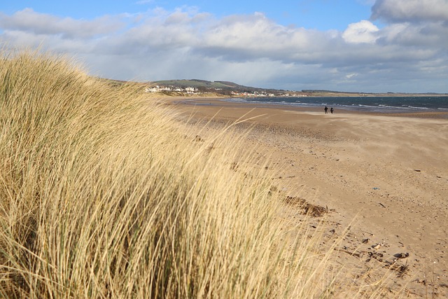 Meer, Strand, Natur, Landschaft, Küste