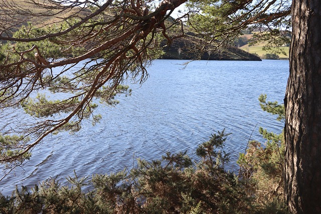 See, Natur, Wald, Berg, Landschaft
