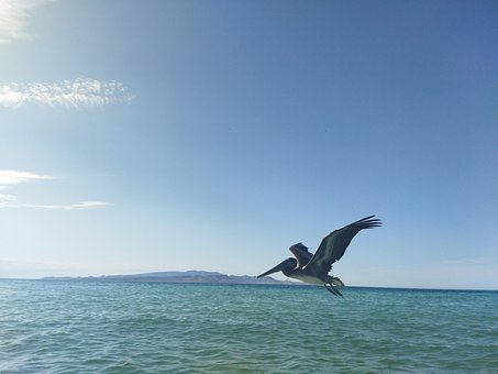 Free Sea Nature photo and picture