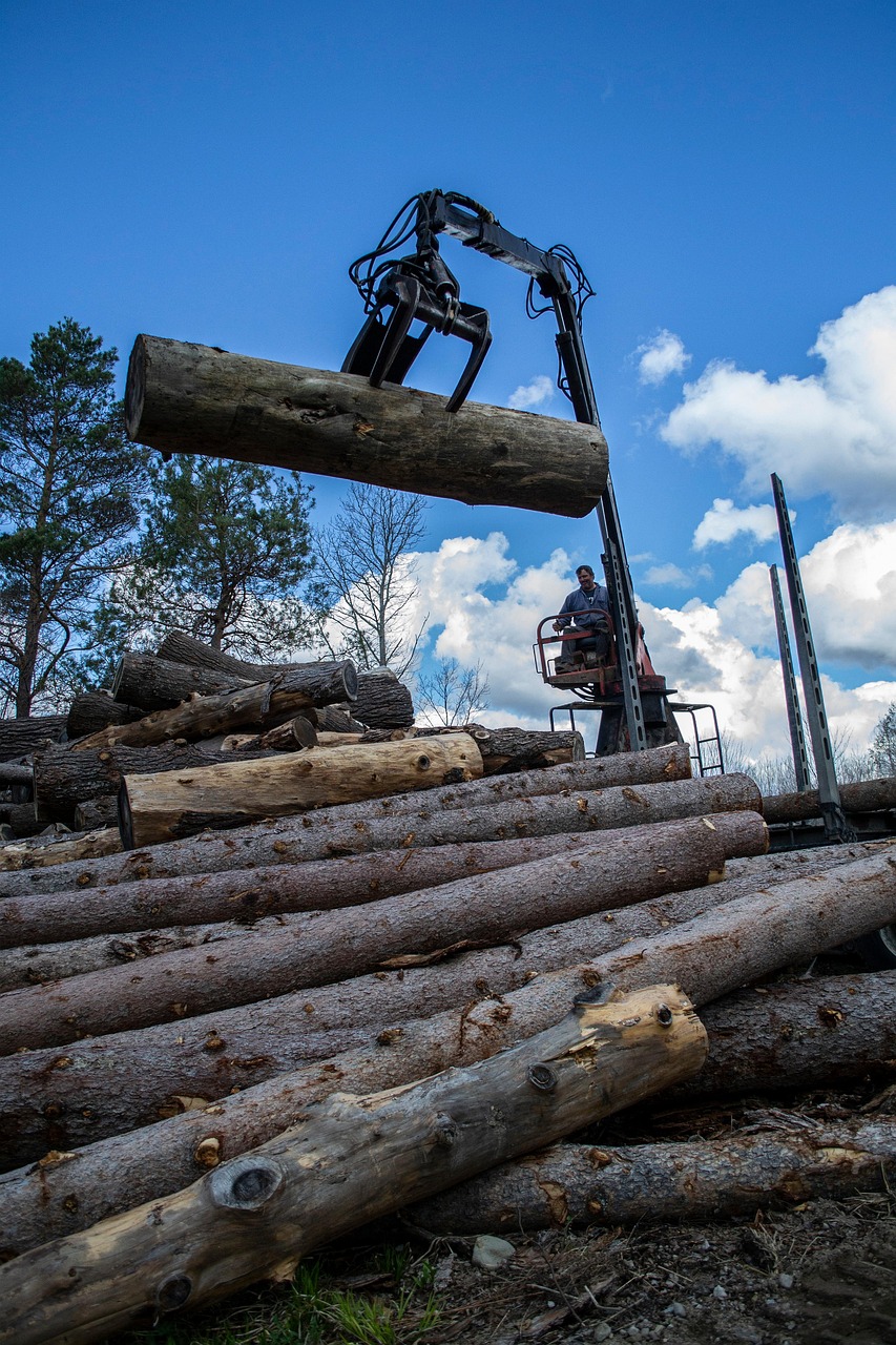 4,000+ Free Log Loaders & Log Images - Pixabay