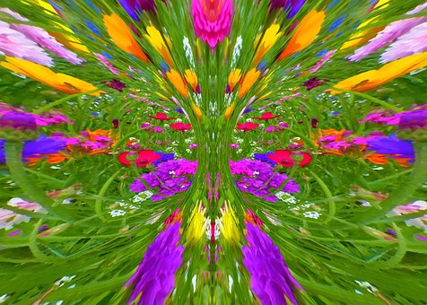 Free Flower Meadow Splendid Colors photo and picture