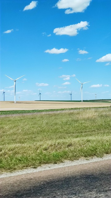 Free Wind Nature photo and picture