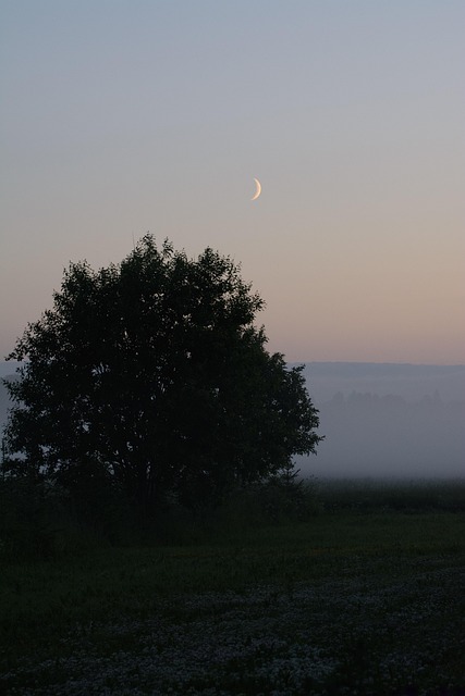 Free Sunset Nature photo and picture