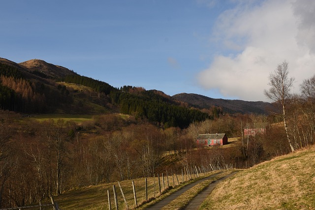 Free Trees Houses photo and picture