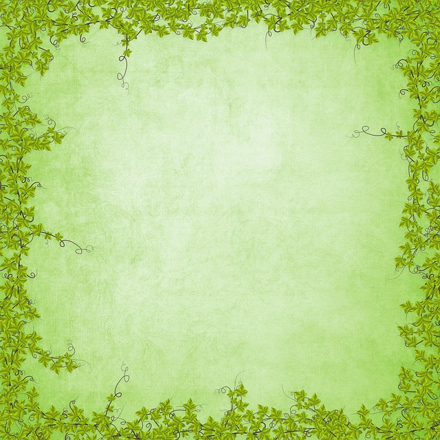 Free green leaves frame vines illustration
