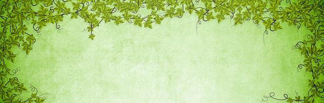 Free green leaves frame vines illustration