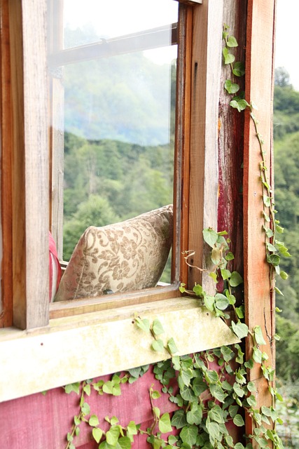 Free House Window photo and picture