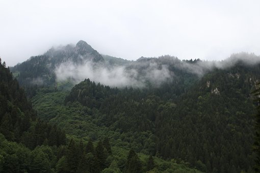 Free Nature View photo and picture