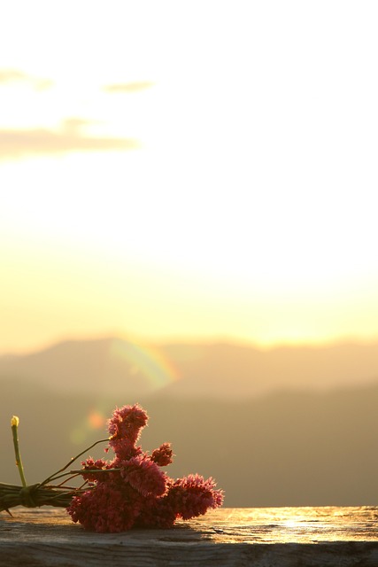 Free Peace Flower photo and picture
