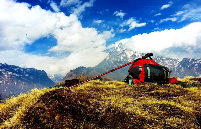 Free Traveller Travel photo and picture