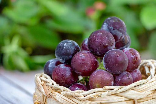 Free Grapes Basket photo and picture
