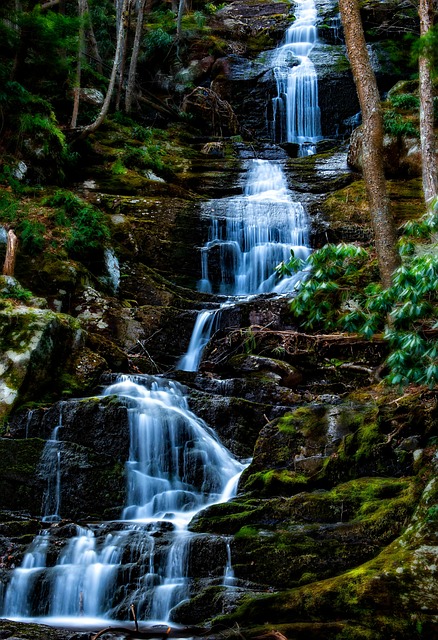 Natur, Wasserfälle, Bäume, Wald, Wasser