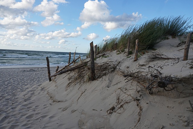 Free Beach Sea photo and picture