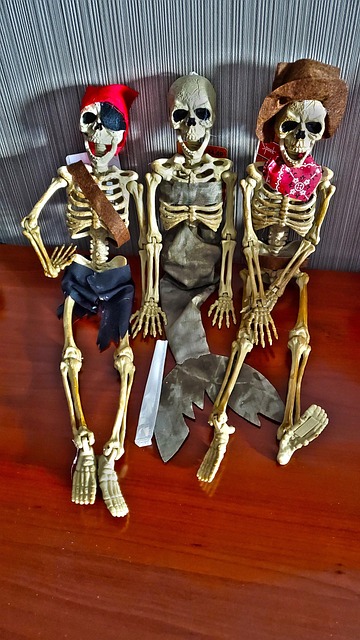 Free Skeleton Halloween photo and picture