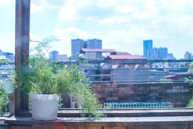 Free Tree Flower Pot photo and picture