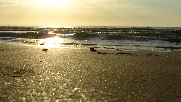 Free Beach Sunset photo and picture