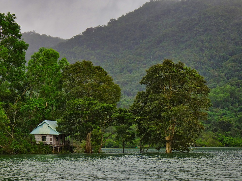 lake-7366009_960_720.jpg