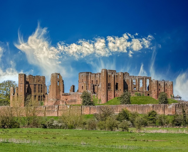 Free castle medieval architecture illustration