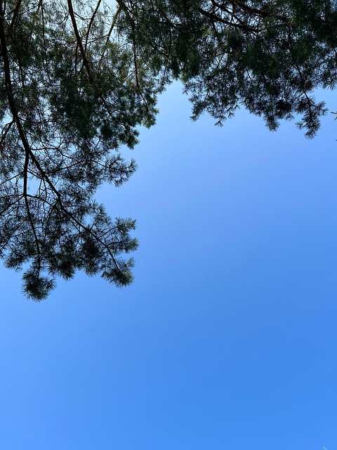 Free Sky Summer photo and picture