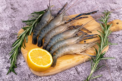 Free Shrimps Rosemary photo and picture