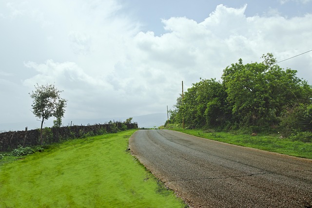 Free Path Landscape photo and picture