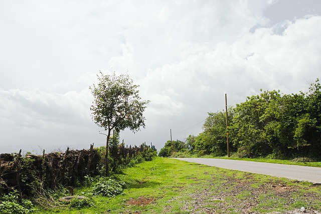 Free Path Nature photo and picture