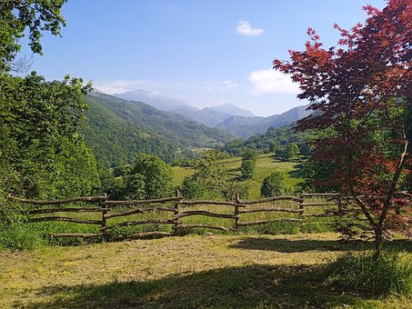 Wald, Landschaft, Asturias, Wolkig