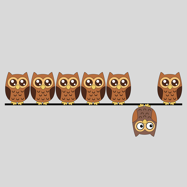 Download free HD stock image of Owls Cartoon Owls Free owls cartoon owls individuality illustration