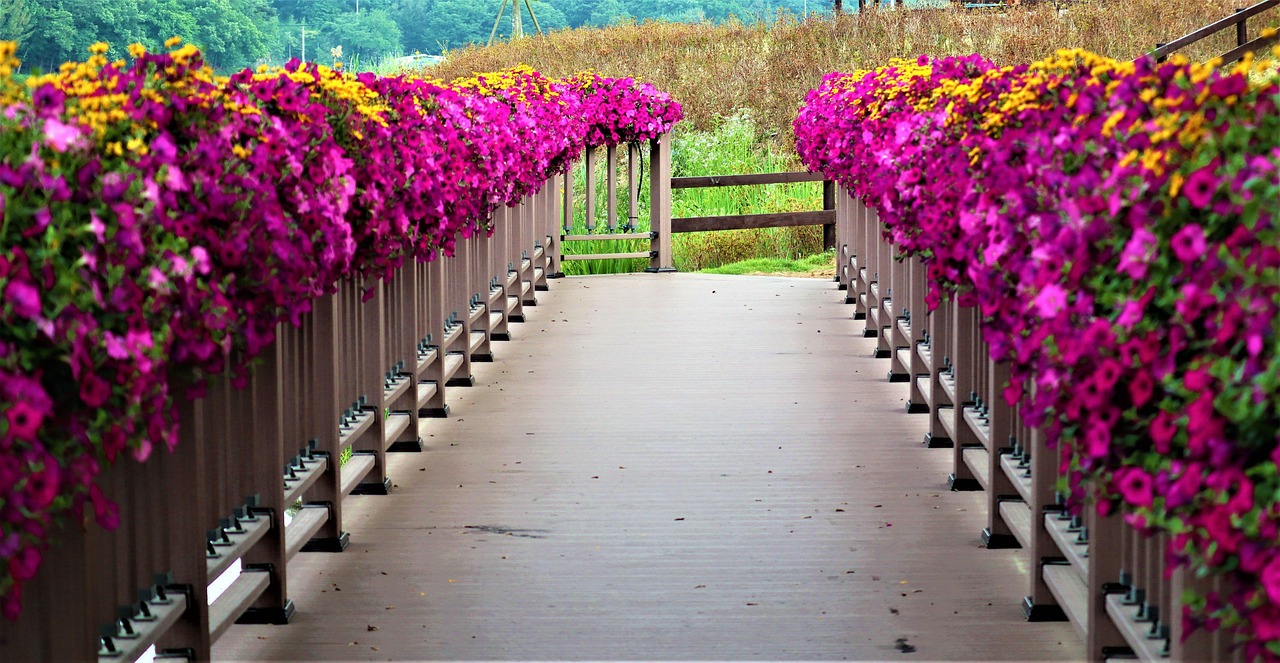 Bridge Flower Road Free photo on Pixabay Pixabay