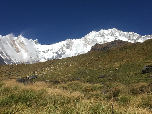 Free Himalayas Annapurna photo and picture