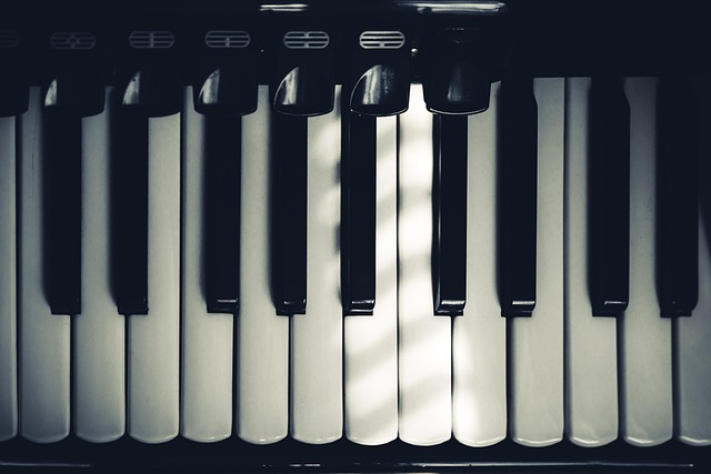 acordeon, keyboard, music, sound, accordion, minor, major, instrument, harmonica, acordeon, acordeon, acordeon, acordeon, accordion, accordion, accordion, accordion, accordion