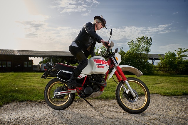 Free Motorcycle Ride photo and picture