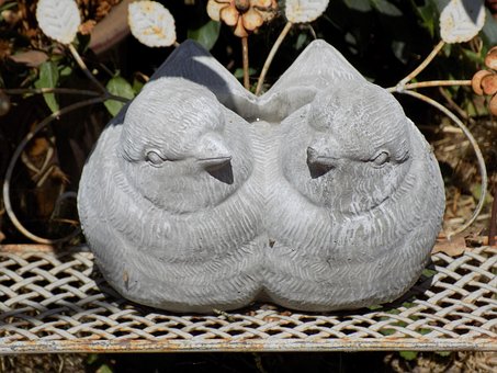 Free Stone Dove photo and picture