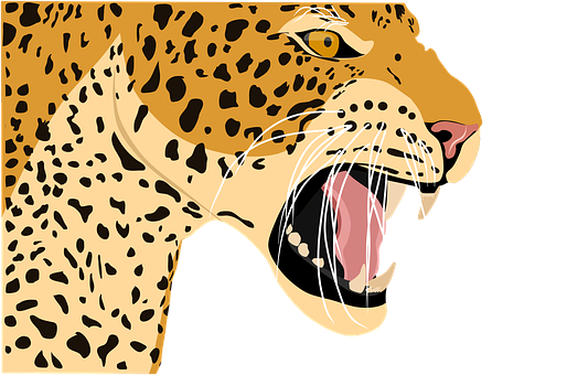 40+ Free Leopard Cat & Leopard Vectors - Pixabay