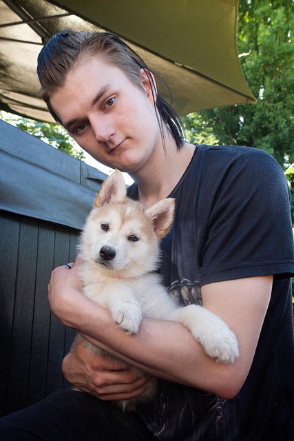 Free Puppy Husky photo and picture