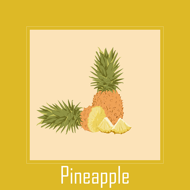 Free pineapple fruit yellow illustration