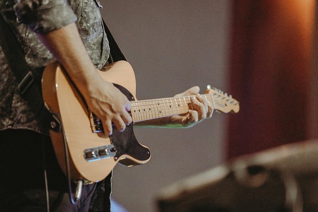 Free Guitar Acoustics photo and picture