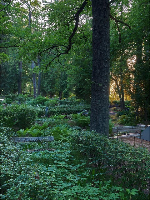 Free Cemetery Graveyard photo and picture