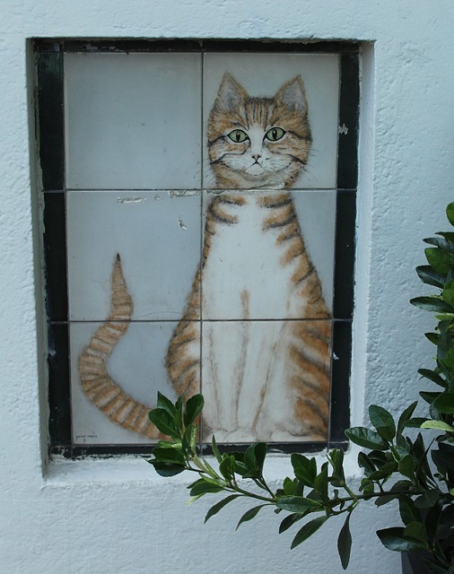 Kat, Amsterdam, Dekoration, Sød, Dyr
